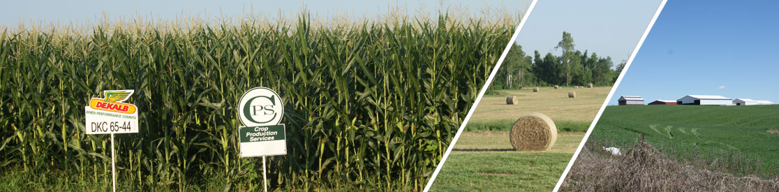 Graves County Agriculture